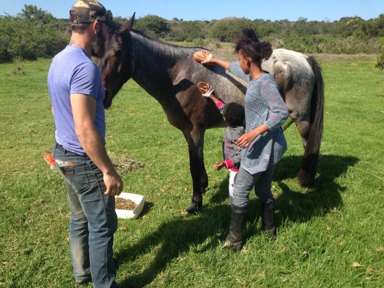Our first therapy horses Merryfield Village
